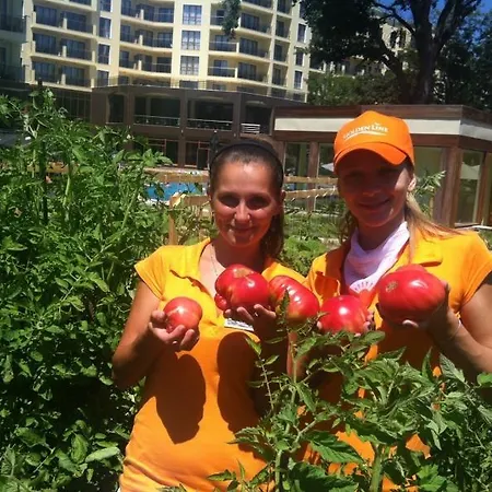 3- In Golden Line Apartment